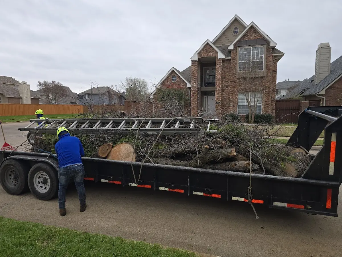 Expert Tree Fertilization with proper safety equipment in Hermitage